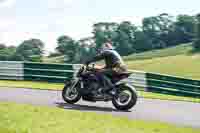 Middle Group Black Bikes